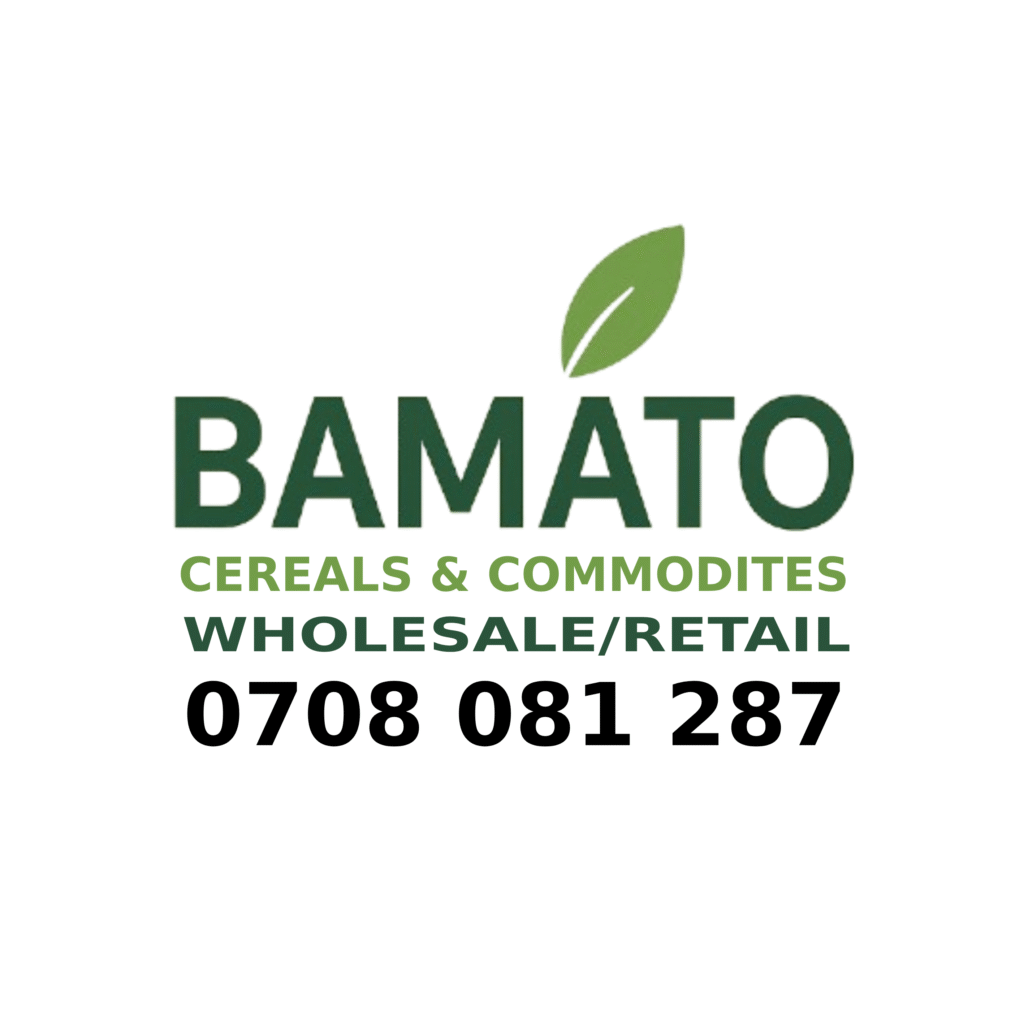 New Project 1 1024x1024